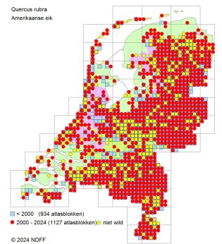 Verspreidingskaart Amerikaanse eik