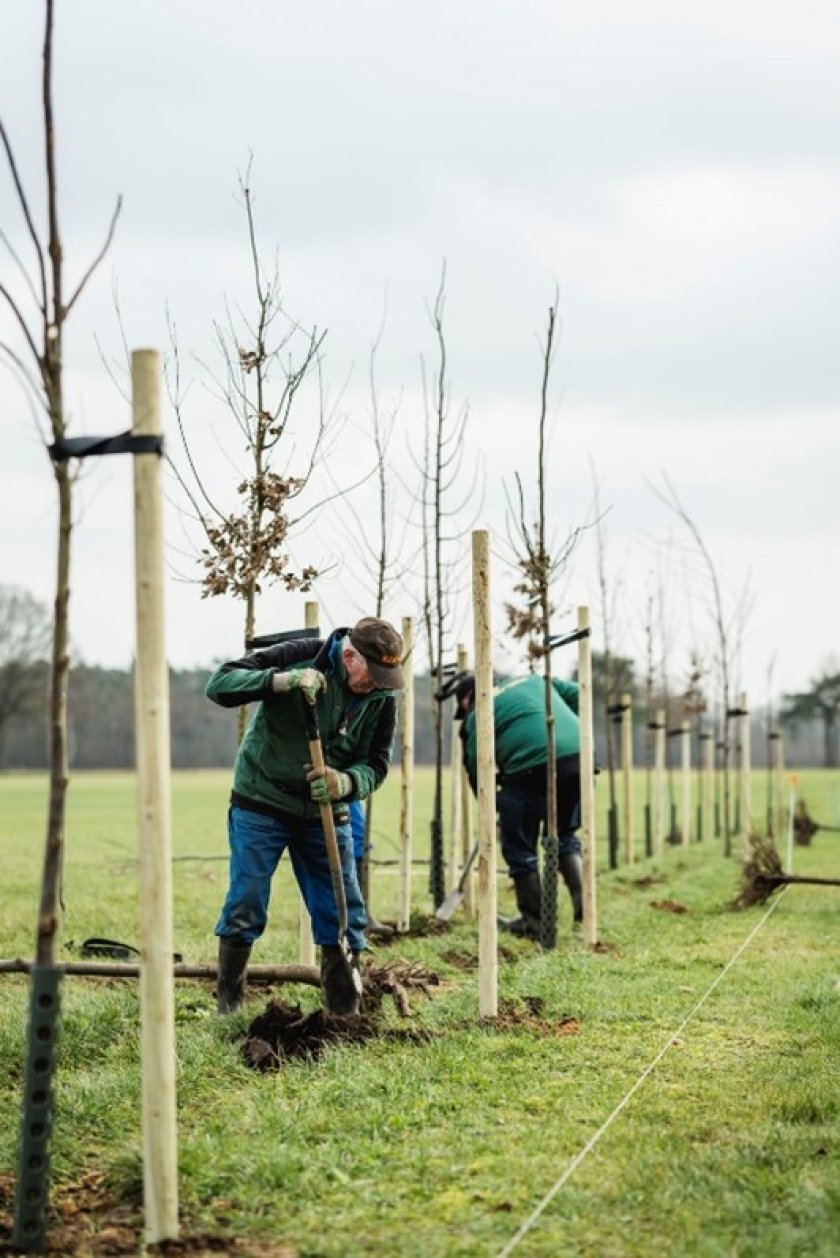 Foto 4: Houtwal 2.0 (foto Anouk Hemmink). Foto 4: Houtwal 2.0 (foto Anouk Hemmink).