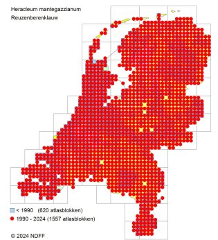 Verspreidingskaart Reuzenberenklauw