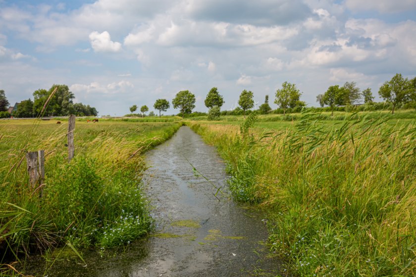 groenblauwe_dooradering_landschap_shutterstock_1541182412.jpg