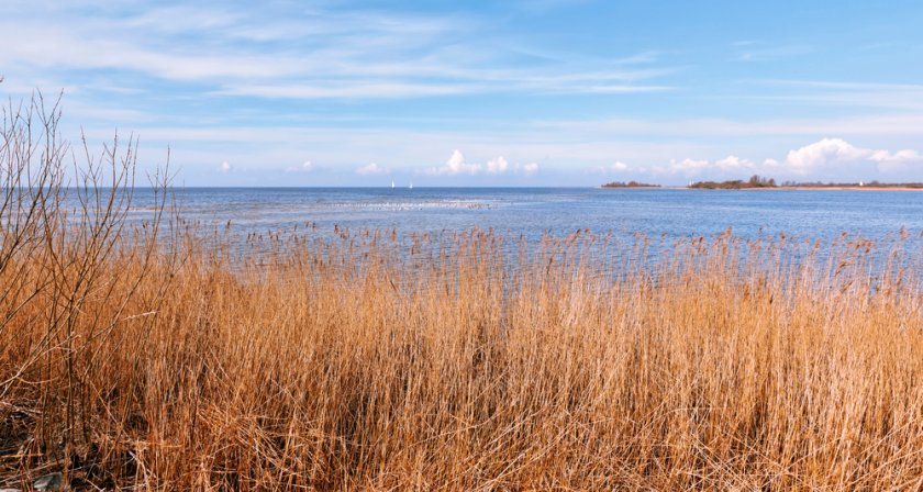 ijsselmeer_shutterstock_1663617262.jpg