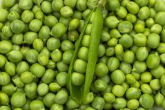 Peas Peas
