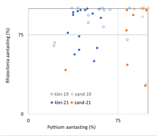 Figuur 1. Aantasting van een toetsgewas door Pythium en Rhizoctonia in grond van 22 akkerbouwpercelen (klei- of zandgrond) in 2019 en 2021 waaraan deze ziekteverwekkers zijn toegevoegd.