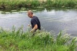 Handmatig verwijderen Grote waternavel uit oevers (© Wageningen UR)