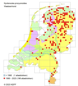 Verspreidingskaart Wasbeerhond