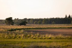 Drooggevallen ven. Veel natuurgebieden in Nederland kampen met problemen zoals een tekort aan water of een teveel aan stikstof. 