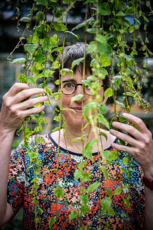 hoogleraar Liesje Mommer 5.jpg