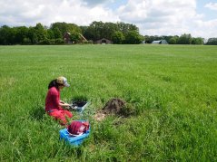 In Haaksbergen, researchers are pumping water to investigate how chemical residues still present in purified wastewater behave during the irrigation of fields. Photo: Jill Soedarso