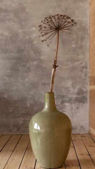 Reuzeberenklauw op vaas