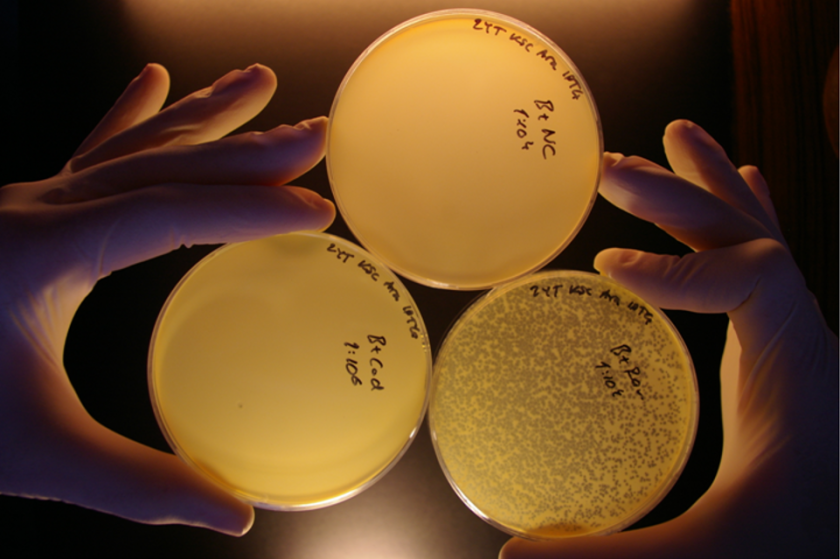 Eureka moment during CRISPR research in 2008 Eureka moment during CRISPR research in 2008