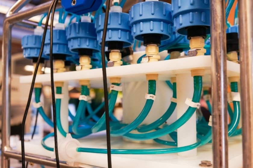 Photo: Marleen den Hartog Photo: Marleen den Hartog