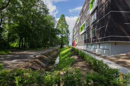 Web 72 DPI-IMG_8943.jpg Web 72 DPI-IMG_8943.jpg