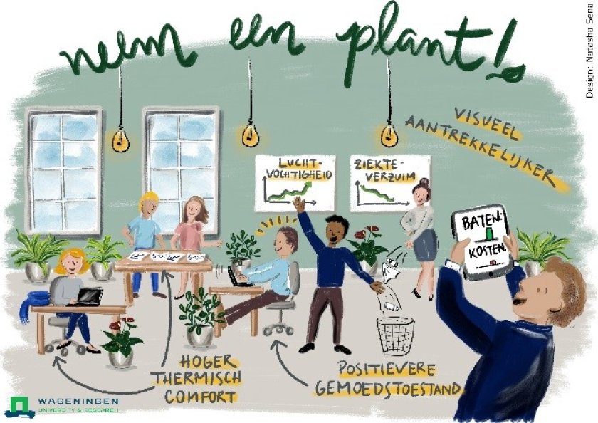 planten voor een beter binnenklimaat