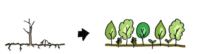 case study II_Ecosystem restoration_enlarged.jpg