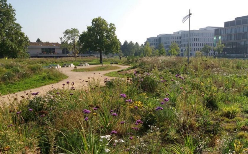Wageningen Campus NL2120 tuin Wageningen Campus NL2120 tuin